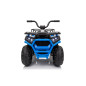 Keturratis keturratis "Robust 01 Blue Keturratis keturratis "Robust 01 Blue