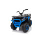 Keturratis keturratis "Robust 01 Blue Keturratis keturratis "Robust 01 Blue