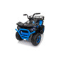 Keturratis keturratis "Robust 01 Blue Keturratis keturratis "Robust 01 Blue