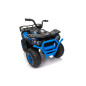 Keturratis keturratis "Robust 01 Blue Keturratis keturratis "Robust 01 Blue
