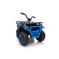 Keturratis keturratis "Robust 01 Blue Keturratis keturratis "Robust 01 Blue