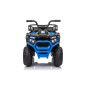 Keturratis keturratis "Robust 01 Blue Keturratis keturratis "Robust 01 Blue