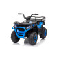 Keturratis keturratis "Robust 01 Blue Keturratis keturratis "Robust 01 Blue