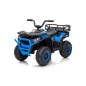 Keturratis keturratis "Robust 01 Blue Keturratis keturratis "Robust 01 Blue