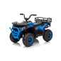 Keturratis keturratis "Robust 01 Blue Keturratis keturratis "Robust 01 Blue