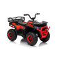 Keturratis keturratis Robust 01 Raudona Keturratis keturratis Robust 01 Raudona
