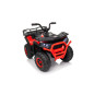Keturratis keturratis Robust 01 Raudona Keturratis keturratis Robust 01 Raudona