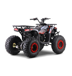 Vaikiškas benzininis keturratis MONSTER 200CC, Raudonas
