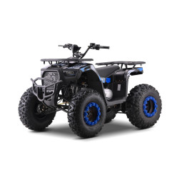 200CC MONSTER mėlynos spalvos benzininis keturratis motociklas