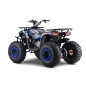 200CC MONSTER mėlynos spalvos benzininis keturratis motociklas 200CC MONSTER mėlynos spalvos benzininis keturratis motociklas