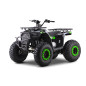 Keturratis motociklas Benzinas 200CC MONSTER Green Keturratis motociklas Benzinas 200CC MONSTER Green