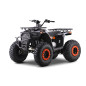 200CC MONSTER oranžinis keturratis dviratis 200CC MONSTER oranžinis keturratis dviratis