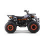200CC MONSTER oranžinis keturratis dviratis 200CC MONSTER oranžinis keturratis dviratis