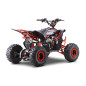DESERT STORM LIFT Raudonas benzininis keturratis motociklas DESERT STORM LIFT Raudonas benzininis keturratis motociklas