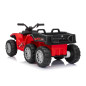 Keturratis sportas TX ATV Raudona