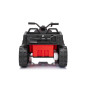 Keturratis sportas TX ATV Raudona