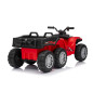 Keturratis sportas TX ATV Raudona