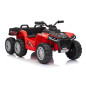 Keturratis sportas TX ATV Raudona
