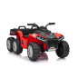 Keturratis sportas TX ATV Raudona