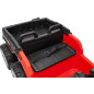 Keturratis sportas TX ATV Raudona
