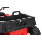Keturratis sportas TX ATV Raudona