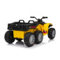 Keturratis Sportas TX ATV Geltonas