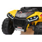Keturratis Sportas TX ATV Geltonas