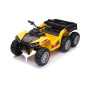 Keturratis Sportas TX ATV Geltonas