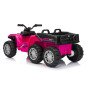 Keturratis sportas TX ATV rožinis