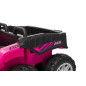 Keturratis sportas TX ATV rožinis