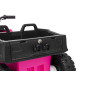 Keturratis sportas TX ATV rožinis