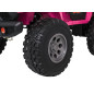 Ekstremalus sportas 4x4 transporto priemonės kintamo dydžio rožinė Ekstremalus sportas 4x4 transporto priemonės kintamo dydžio rožinė
