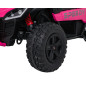 SPEEDY 4x4 rausvos spalvos bagių transporto priemonė