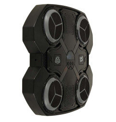 Bokso sieninis treniruoklis su muzika "Bluetooth" LED USB