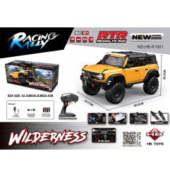 Automobilis R/C WILDERNESS 1:10 Geltonas