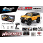 Automobilis R/C WILDERNESS 1:10 Geltonas