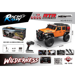 Automobilis R/C WILDERNESS RTR 1:10 oranžinis