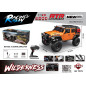 Automobilis R/C WILDERNESS RTR 1:10 oranžinis
