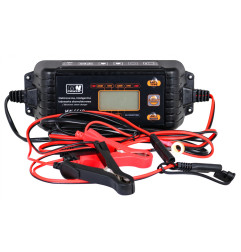 AKUMULIATORIŲ PAKROVĖJAS SU LCD EKRANU 12V I 24V - 2