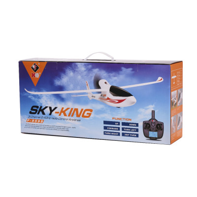 RC valdomas lėktuvas Sky King F959S 2,4GHz