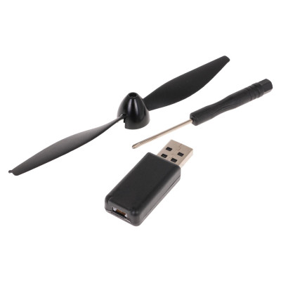 RC valdomas RAPTOR-22 naikintuvas