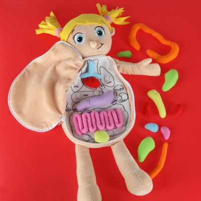 Anatomijos besimokanti mergaitė lėlė talismanas