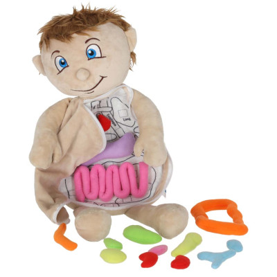 Anatomijos besimokantis berniukas su talismanu