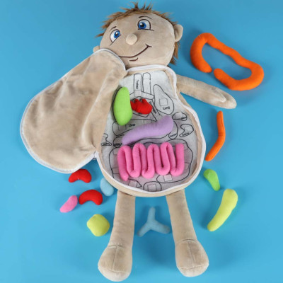 Anatomijos besimokantis berniukas su talismanu