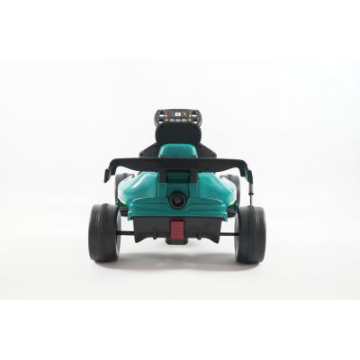 Minamas kartingas Aston Martin, Žalias