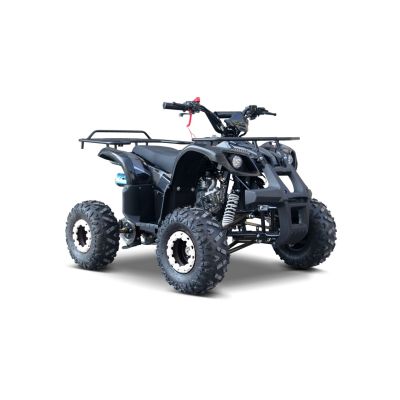 Vaikiškas benzininis keturratis WILDPEAK 110 cm3, Juodas