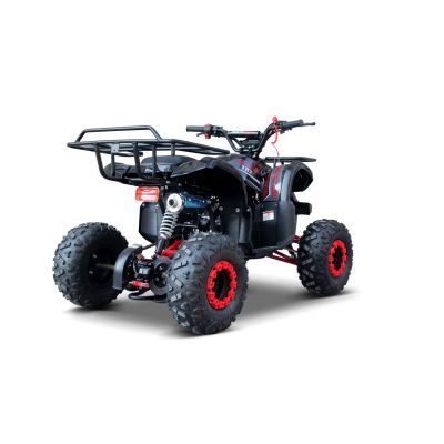 Vaikiškas benzininis keturratis WILDPEAK 110 cm3, Raudonas