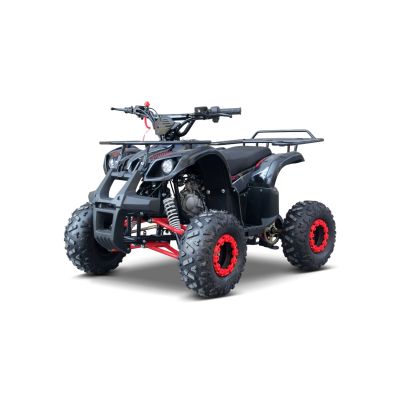 Vaikiškas benzininis keturratis WILDPEAK 110 cm3, Raudonas