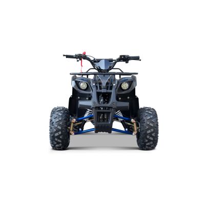 Vaikiškas benzininis keturratis WILDPEAK 110 cm3, Mėlynas
