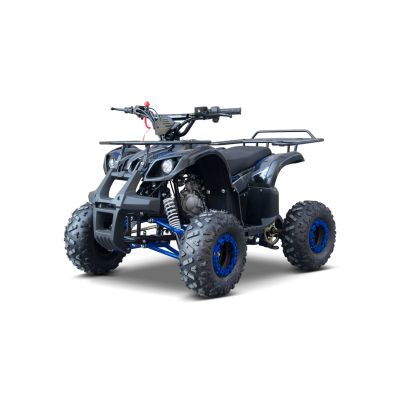 Vaikiškas benzininis keturratis WILDPEAK 110 cm3, Mėlynas